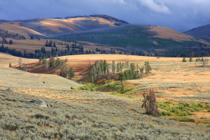 Yellowstone National Park Weather Photo in Valley